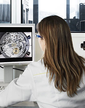 达芙妮·克劳迪娅-理查米尔手表官网旗舰店